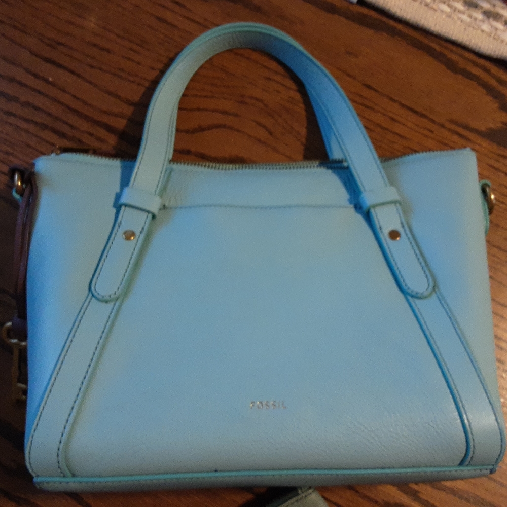 Fossil Satchel